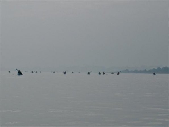 2010_bibionekayak (10)