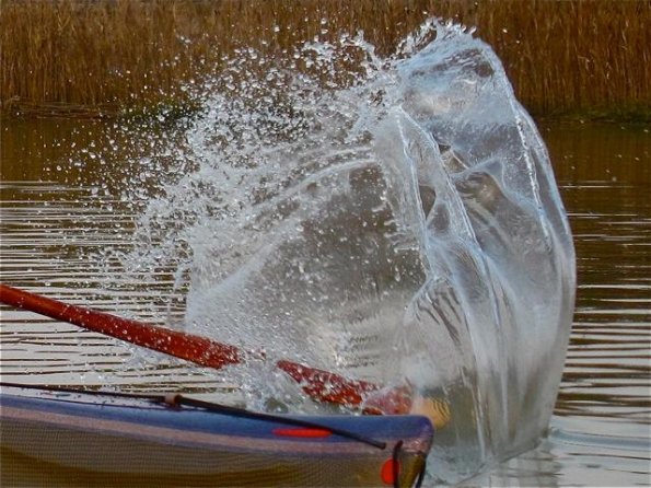 2010_bibionekayak (9)