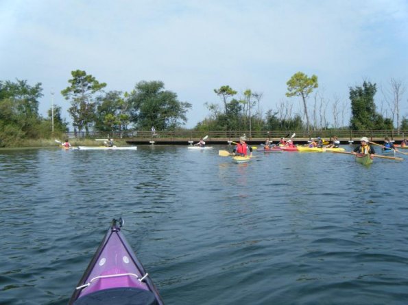 2010ott03_cavanata (1)