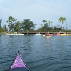 2010ott03_cavanata (1)