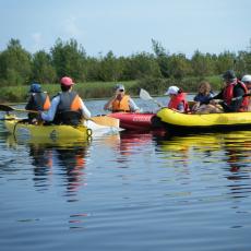 2010ott03_cavanata (3)