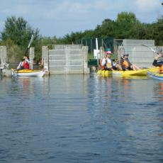 2010ott03_cavanata (4)