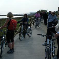 2010ott03_cavanata (6)