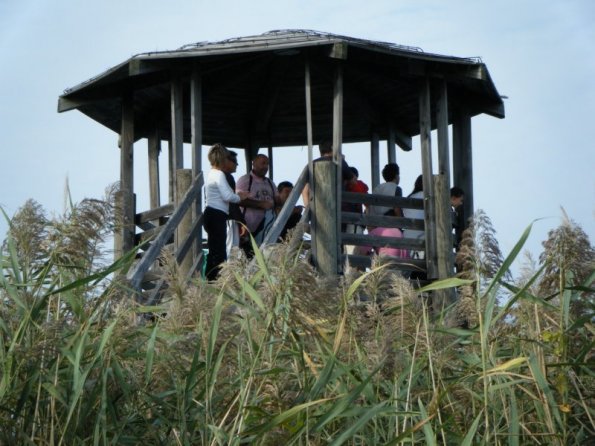 2010ott03_cavanata (7)