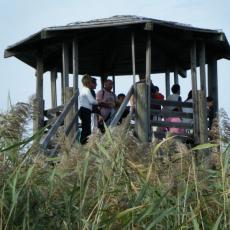 2010ott03_cavanata (7)