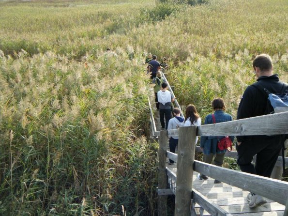 2010ott03_cavanata (8)