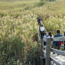 2010ott03_cavanata (8)