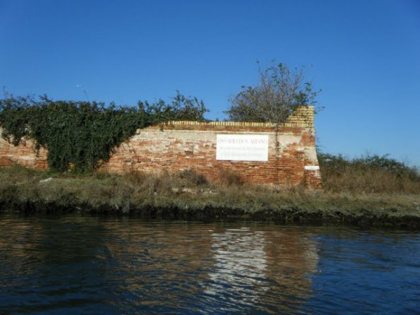 2010dic11_laguna_VE (4)