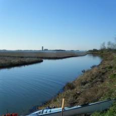 2010dic11_laguna_VE (6)