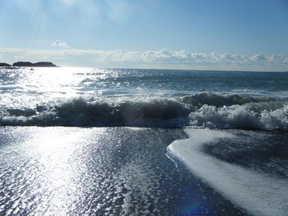 2010dic04_wiskie (1)