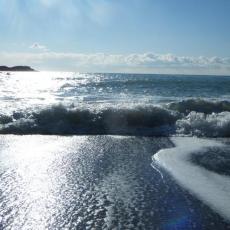 2010dic04_wiskie (1)