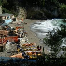 2010dic04_wiskie (2)