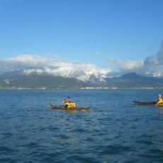 2010dic04_wiskie (3)