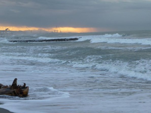 2010dic04_wiskie (4)