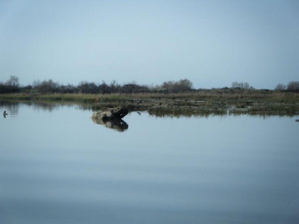 2010dic28_gran_fondo (11)