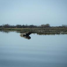 2010dic28_gran_fondo (11)