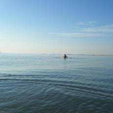 2010dic28_gran_fondo (2)