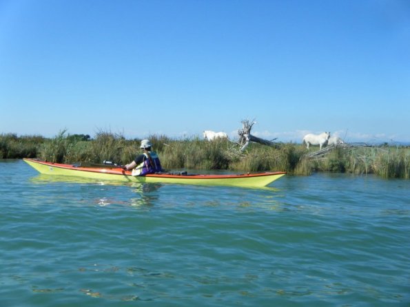 2010ago01_grignano_cona_nuoto (13)
