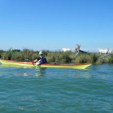 2010ago01_grignano_cona_nuoto (13)