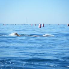 2010ago01_grignano_cona_nuoto (6)