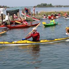 3_Allegro traffico all'attracco del Casone Corbatto