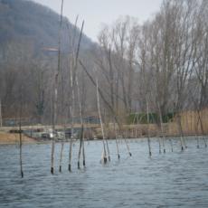 2011gen29_30_alto_lario (7)