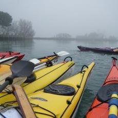 2010gen11_s_giuliano (13)