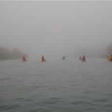 2010gen11_s_giuliano (2)