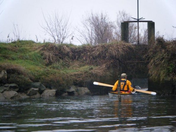 2010gen11_s_giuliano (23)