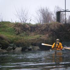 2010gen11_s_giuliano (23)