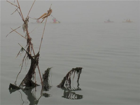 2010gen11_s_giuliano (27)