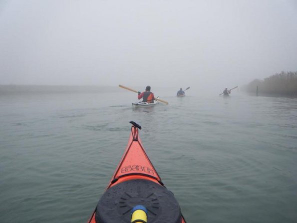 2010gen11_s_giuliano (5)