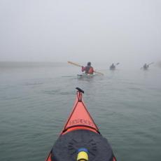 2010gen11_s_giuliano (5)