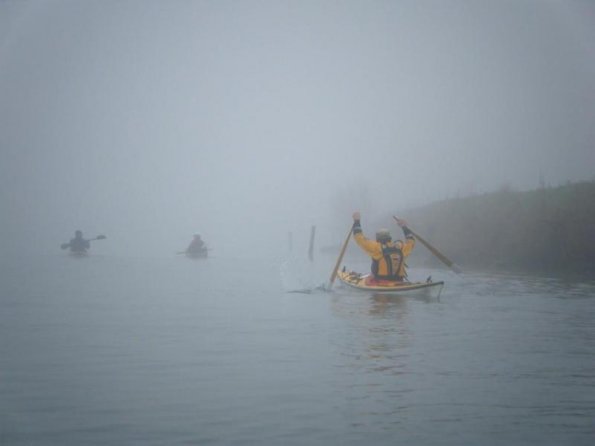 2010gen11_s_giuliano (6)