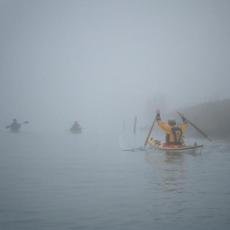 2010gen11_s_giuliano (6)