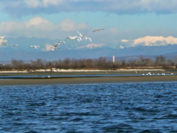 2011_gran_fondo (13)