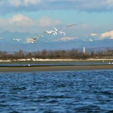 2011_gran_fondo (13)