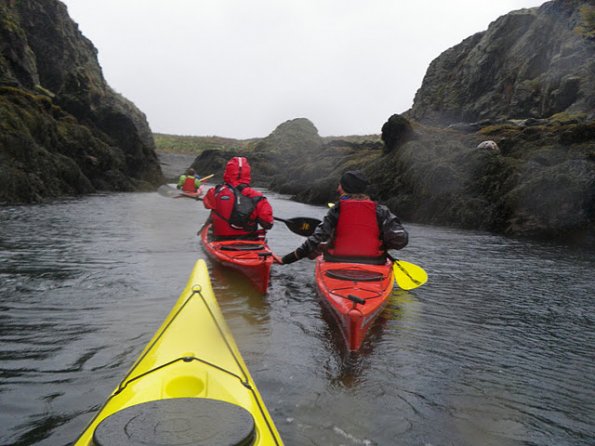 5_magari mi traina ...