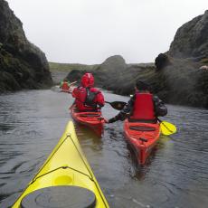 5_magari mi traina ...