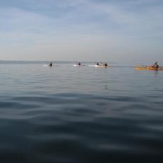 2011nov26_strugnano_sicciole (5)