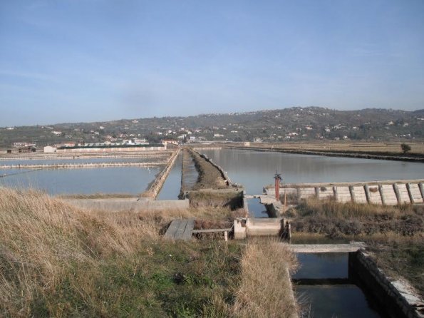 2011nov26_strugnano_sicciole (8)