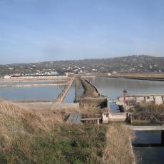 2011nov26_strugnano_sicciole (8)