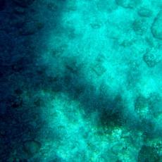 2011_premantura (11)