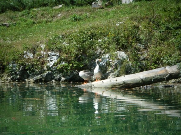 2012ago15_most_na_soci (1)