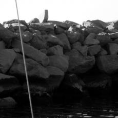 2012_dicembre_auguri (6)