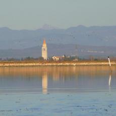 2012gen_s_giuliano (15)