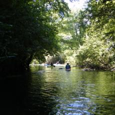 2012lug22_discesa_stella (1)