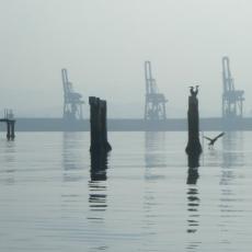 2012_muggia_ancarano (10)