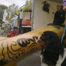 2012set_vele_pesce (9)