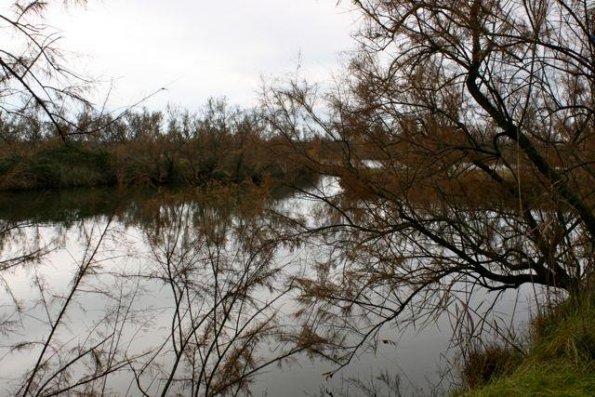 2013gen13_s_giuliano (13)